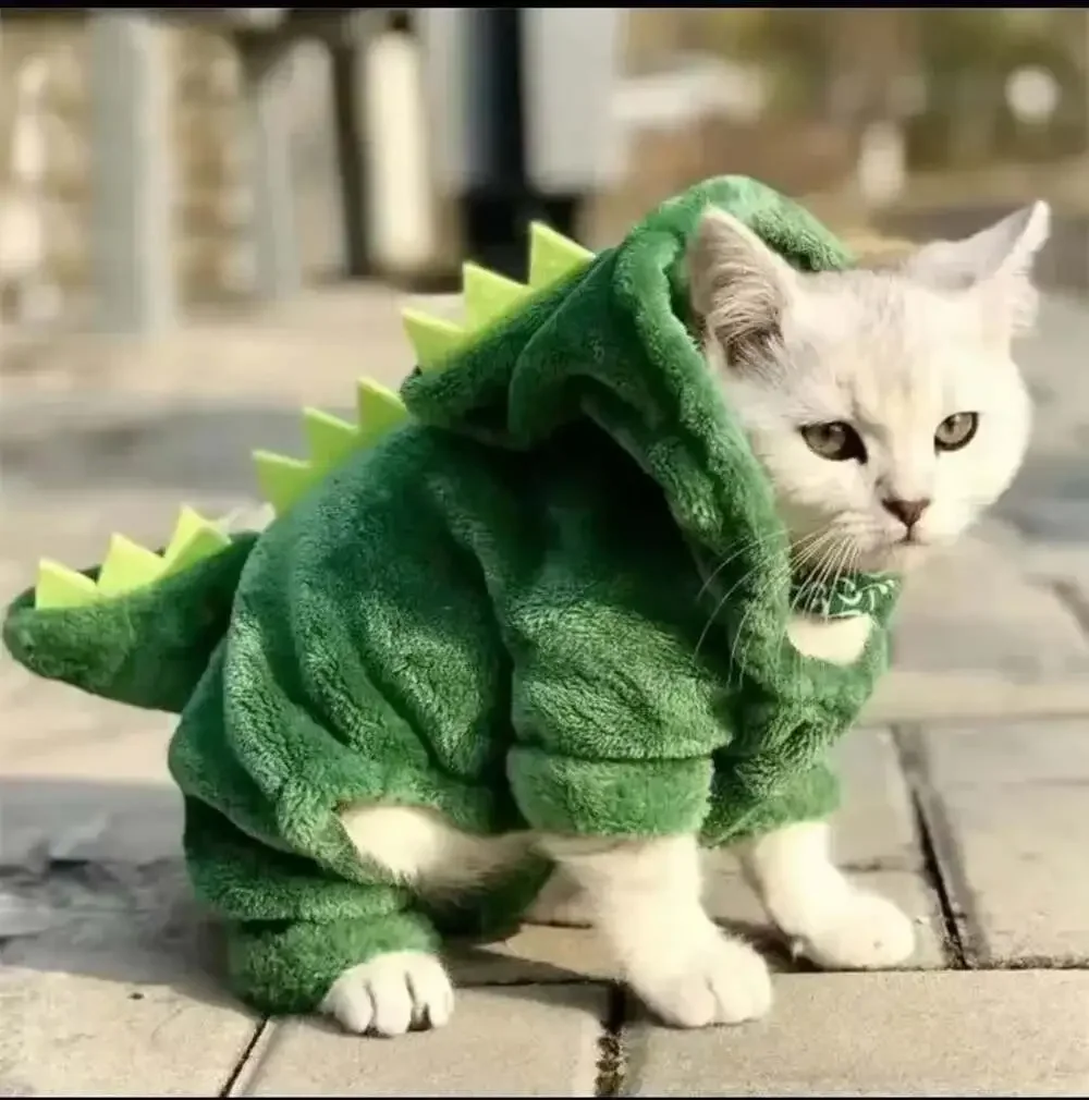 Pet Cat Dog Halloween Dog Clothes for Small Dogs Funny Dinosaur Cosplay Costume